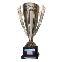 Кубок наградной 25см C28722