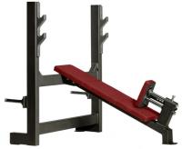 Наклонная скамья со стойками UFC UCR-28009